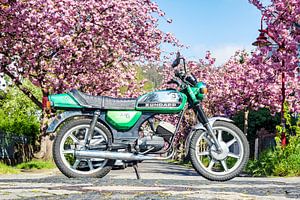 Zündapp KS50