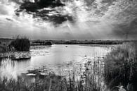 Nederlands landschap, Eempolder in Zwart/Wit. van Mark de Weger thumbnail