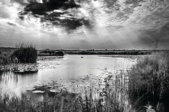 Dutch landscape, Eempolder in Black / White.