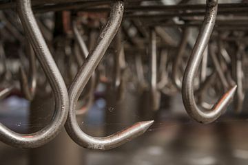 verlaten slachthuis van Ivana Luijten
