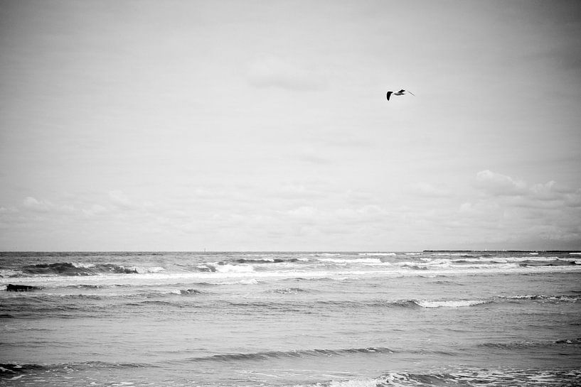 De zee en de meeuw by Artisliek