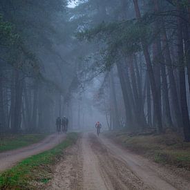 Nebliger Morgen von Mariëlle Weijsenfeld