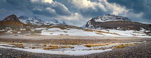 Panorama van de Athabasca gletsjer, Canada