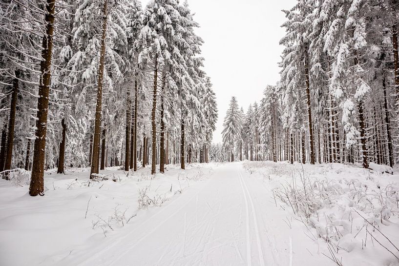 Petite randonnée hivernale dans la forêt enneigée de Thuringe près de Floh-Seligenthal - Thuringe - Allemagne par Oliver Hlavaty