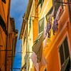 Vêtements suspendus à la fenêtre pour sécher dans une ruelle ensoleillée de Vernazza sur Robert Ruidl