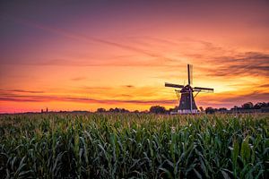 Windmolen De Zwaan van Rob Sprenger