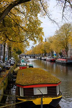Nachhaltiges Amsterdam