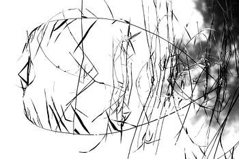 Lignes et formes