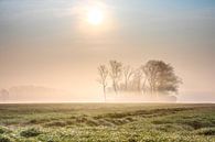 Golden morning mist on the fields near Keiem Diksmuide West Flanders by Peschen Photography thumbnail