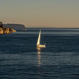 Segelboot auf See während der goldenen Stunde bei Vancouver von Anneloes van Acht