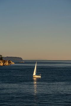 Segelboot auf See während der goldenen Stunde bei Vancouver