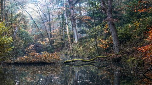 Lake in the forest in autumn by Awesome Wonder
