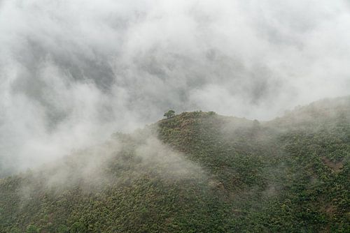 Mystic mountain views