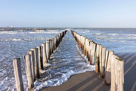 Pile heads on the beach in Zeeland