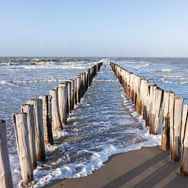 Stapelköpfe am Strand von Zeeland von Charlene van Koesveld