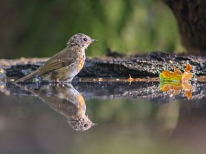 Perfect reflection