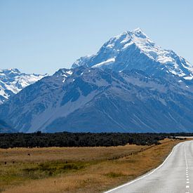 The road to Mount Cook by Ton de Koning