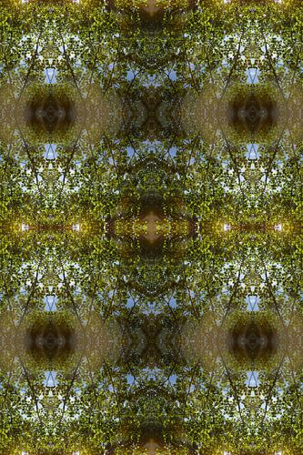 Zomerreflectie, water en symmetrie 3