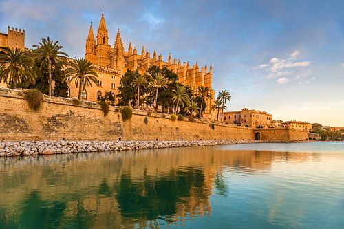 De kathedraal La Seu en het Parc de la Mar in Palma de Mallorca