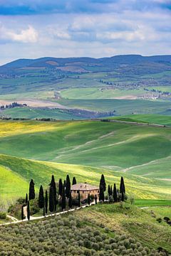 Lente in de Val d'Orcia van Dirk Rüter