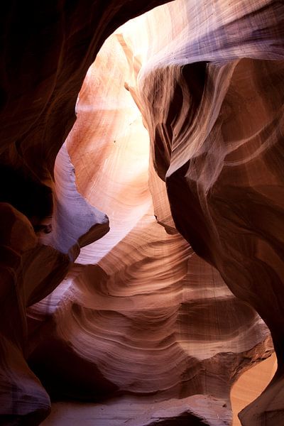 Upper Antelope Canyon by Kees van Dun