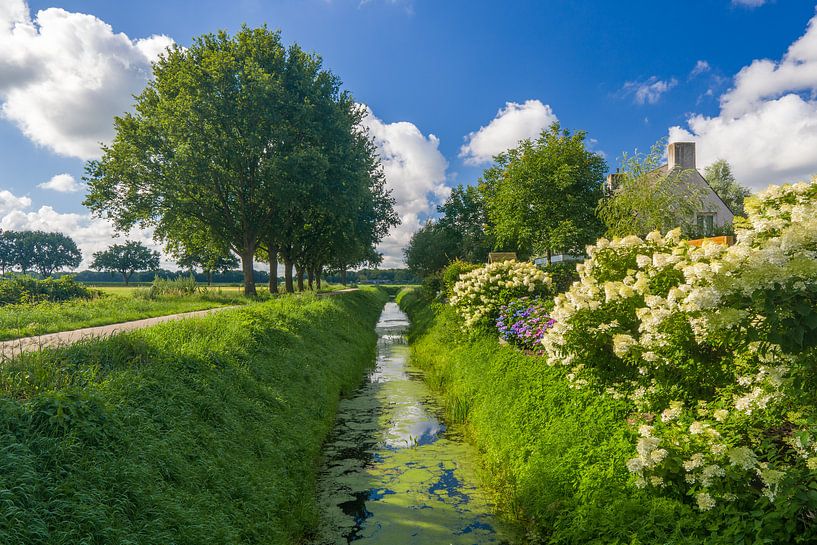 Zomer geluk. van Henri Boer Fotografie