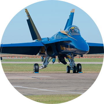 Blue Angel team stapt in F/A-18 Hornet van Bob de Bruin