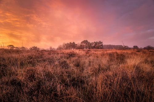 Knallende lucht bij de heide van Bussum