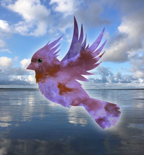 Reflectie van een kardinaalvogel