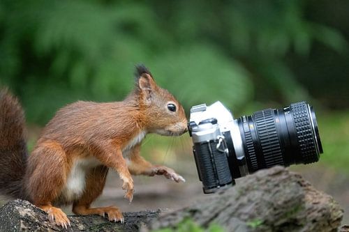 Ja ook eens een foto van jullie gemaakt.