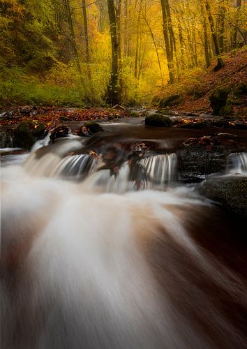 Kleine waterval en herfstkleuren in Duitsland