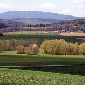 Blick auf den Kreuzberg im Frühling von Martin Flechsig
