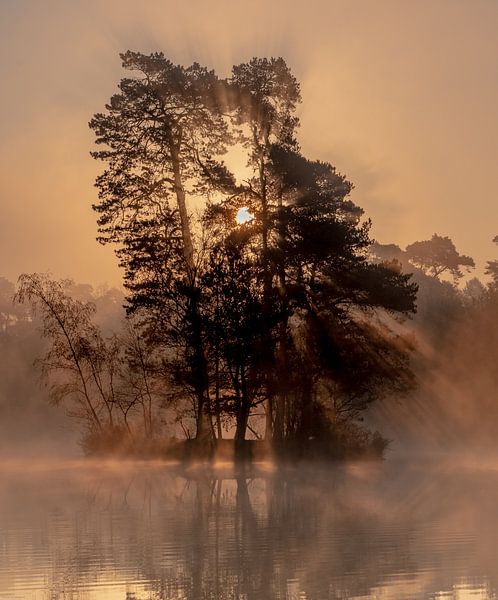 Sunrise Oisterwijkse Vennen by Ton van den Boogaard