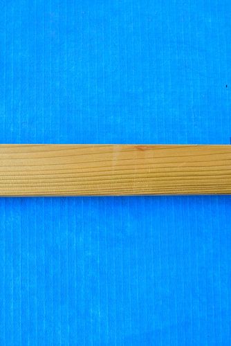 DSC_4559_keper on blue background