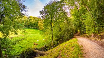 Grüne Landschaft mit Kühe auf einer Wiese von Günter Albers