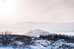 Lumière hivernale sur la vallée Paysage de neige en pastel doux