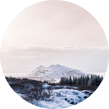 Winterlicht over de Vallei Sneeuwlandschap in Zacht Pastel