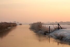Landschap in de winter
