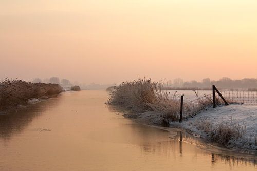 Landschap in de winter