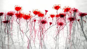 Roter Wald RED FOREST