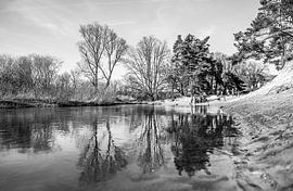 Der Dinkel im Lutterzand, Natur in Twente von Ratna Bosch