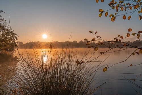 Fog in the morning on the Allersee