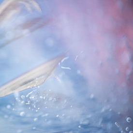 Image dynamique de feuilles et de bulles dans la glace en couleurs douces sur Wendy van Kuler Fotografie