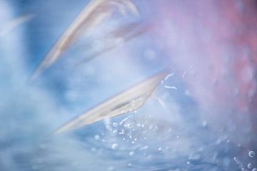 Dynamsich beeld van blaadjes en belletjes in het ijs in zachte kleuren van Wendy van Kuler
