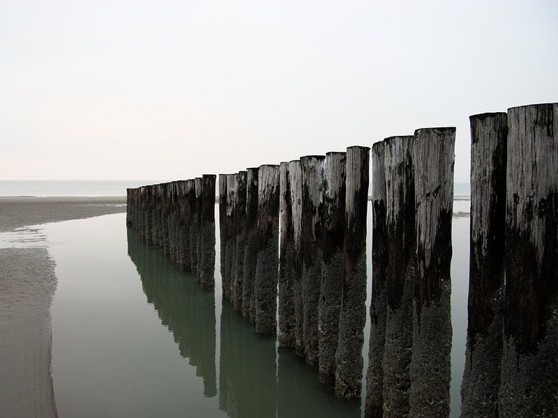 Poteaux sur la plage par Thijs Schouten