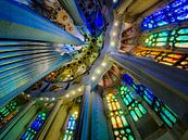 Sagrada Familia - Barcelona van Roy Poots thumbnail