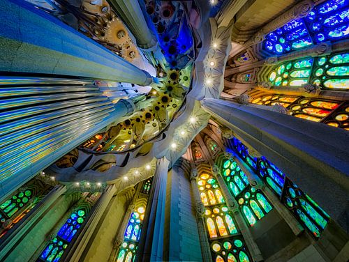 Sagrada Familia - Barcelona von Roy Poots