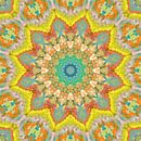 Mandala Style 81 van Marion Tenbergen thumbnail