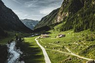 Habachtal Bramberg Pinzgau von Daniel Kogler Miniaturansicht