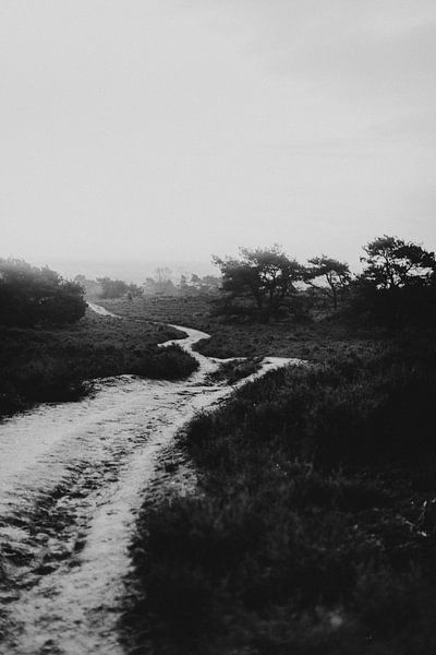 Le Lemelerberg près de Lemele, un paysage accidenté en noir et blanc | Photographie en plein air par Holly Klein Oonk